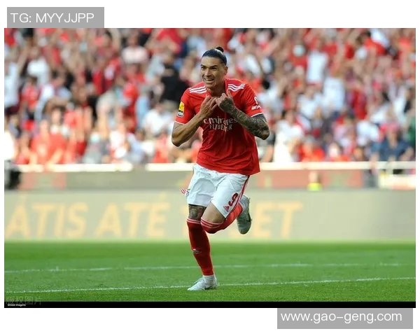 努涅斯在赛场上的崛起与挑战解析，展望未来的职业生涯发展与可能性